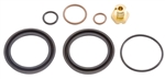 AP0029 - FUEL FILTER KIT