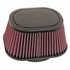 42138 - Air Filter Elem, Ram