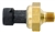 AP63429 - EBP SENSOR